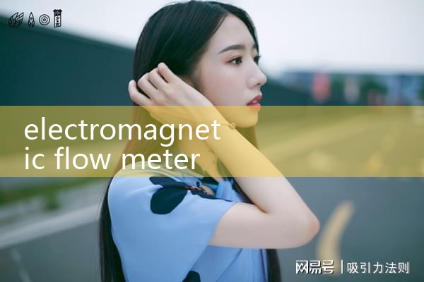 electromagnetic flow meter flanged|mass flowmeter