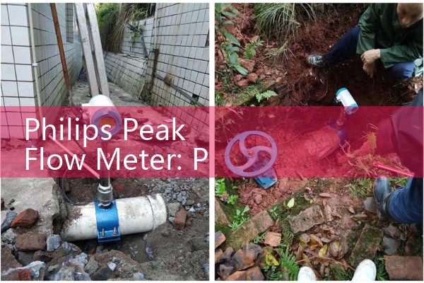 Philips Peak Flow Meter: Personal Best Full Range Manual