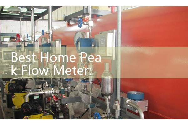 Best Home Peak Flow Meter: Sourcing Over-the-Counter Pulmonary Tracking Devices