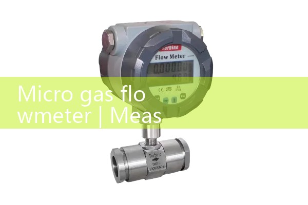 Micro gas flowmeter