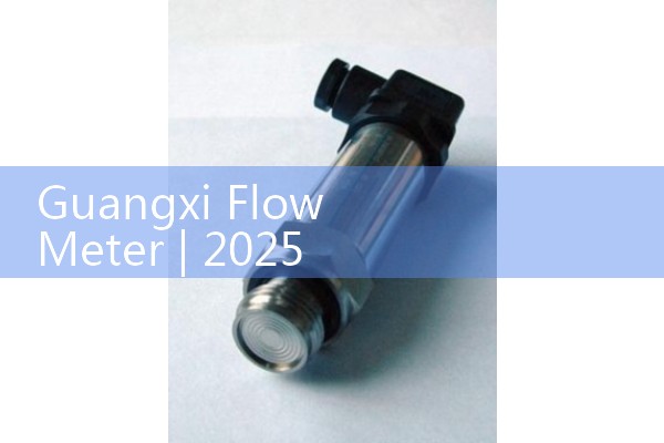 Guangxi flowmeter