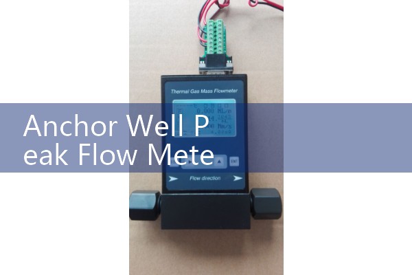Anchor Well Peak Flow Meter: Standard Mechanical Home Asthma Monitors