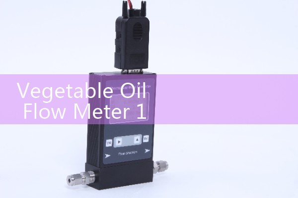 Vegetable Oil Flow Meter 10 L/min Additive Injection System Setup