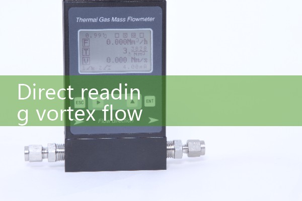 Direct reading vortex flowmeter