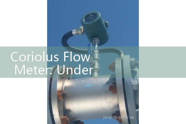 vertical flow meter|mass flow meter