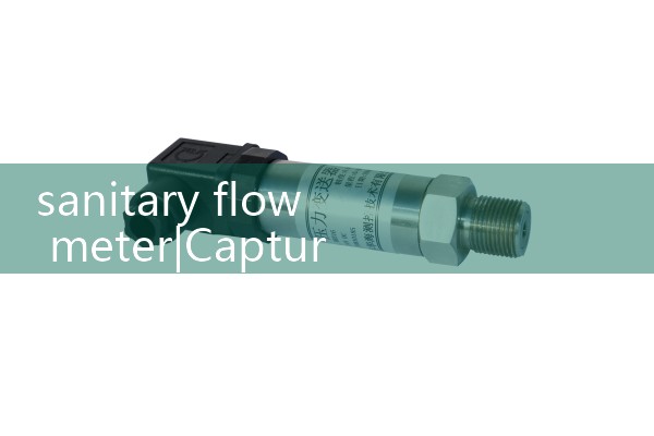 sanitary flow meter