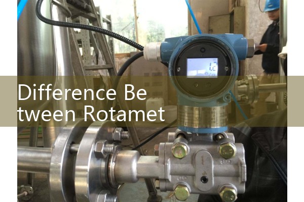 Difference Between Rotameter and Flow Meter: Visual Mechanical vs Electronic Tools
