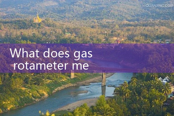 gas rotameter|vortex flow meter