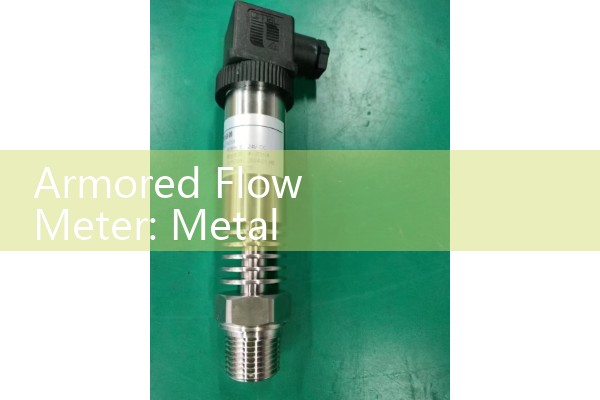 Ball Type Flow Meter: Sourcing Cylinder Gas Shielding Visual Dial Scales