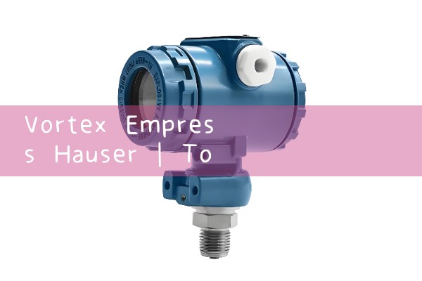 vortex endress hauser|mass flow meter
