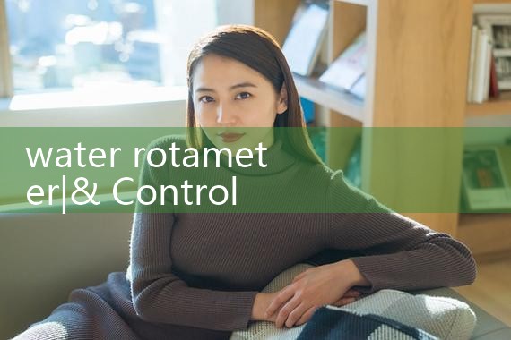 water rotameter|vortex flow meter