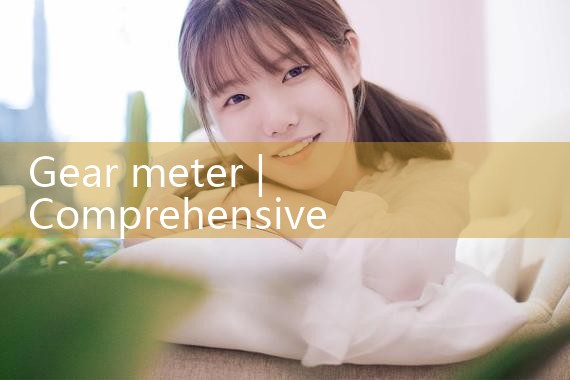 gear meter|vortex flow meter