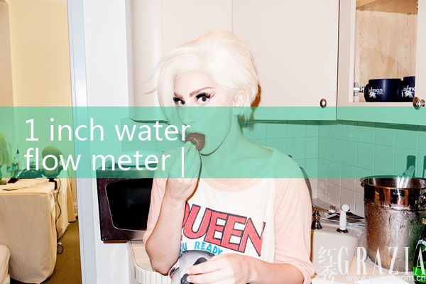 1 inch water flow meter|mass flowmeter