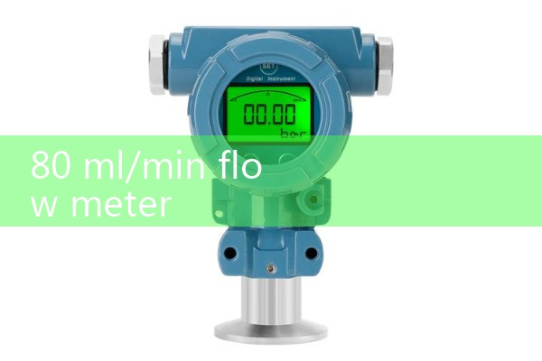 80 ml/min flow meter