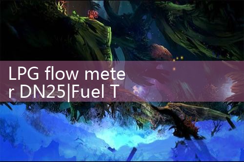 LPG flow meter DN25|arduino flow meter