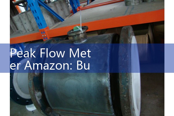 Split vortex flowmeter