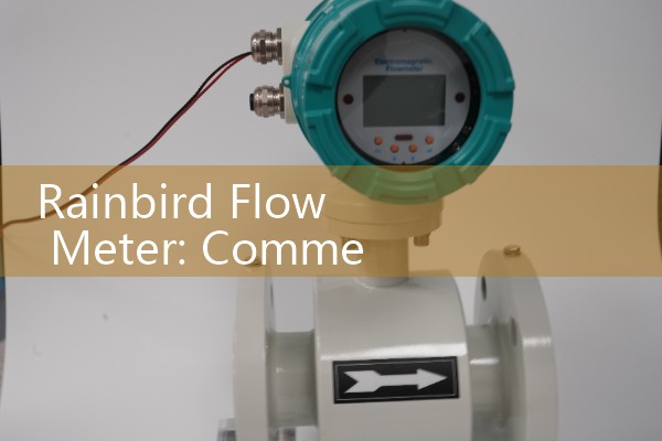 Rainbird Flow Meter: Commercial Landscape Water Monitoring