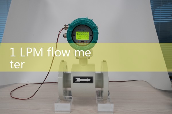 1 LPM flow meter