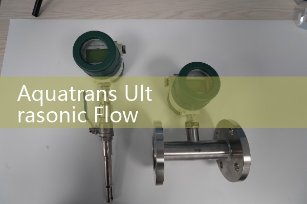 5 g/h flow meter