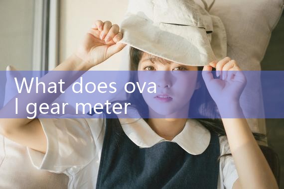 oval gear meter|mass flowmeter