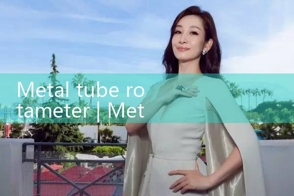 metal tube rotameter|vortex flow meter