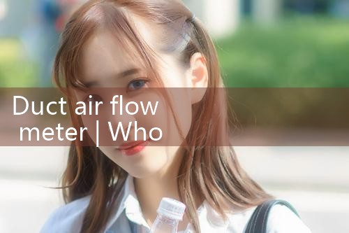 duct air flow meter|mass flowmeter