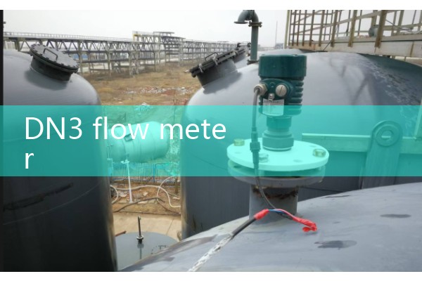 DN3 flow meter