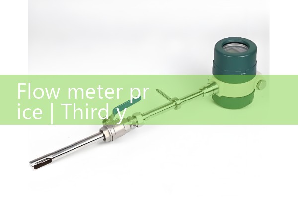 flow meter price