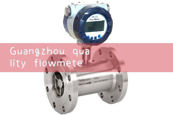 Guangzhou Quality Flow Meter Customization Manufacturer