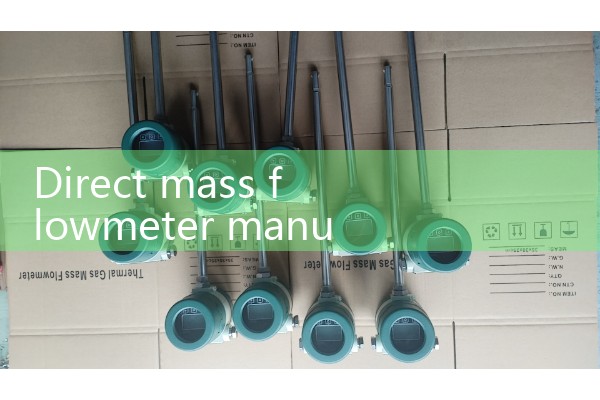 Direct mass flowmeter manufacturer
