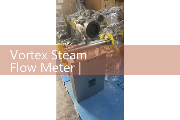 vortex steam flow meter|mass flow meter